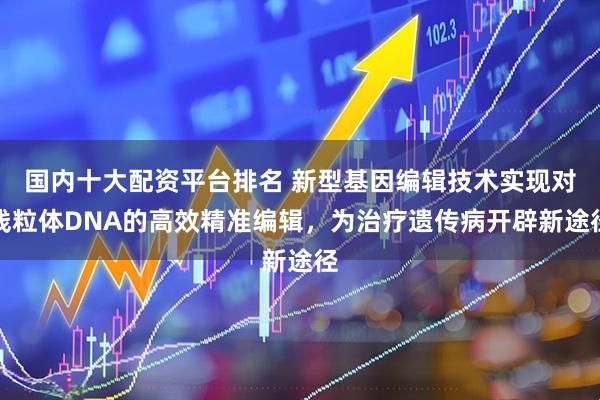 国内十大配资平台排名 新型基因编辑技术实现对线粒体DNA的高效精准编辑，为治疗遗传病开辟新途径