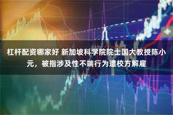 杠杆配资哪家好 新加坡科学院院士国大教授陈小元，被指涉及性不端行为遭校方解雇